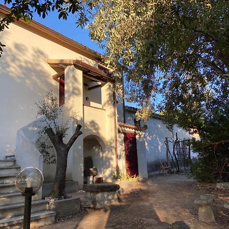 Taddore Green Lodge Galtelli Exterior photo